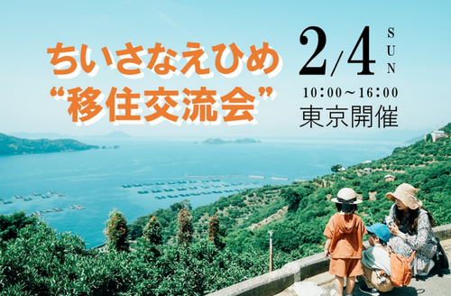 移住・定住促進施策支援サービス｜ピタマチ
