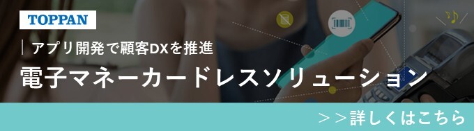 電子マネーの導入から高度なデータ販促まで！「電子マネーカードレスソリューション」