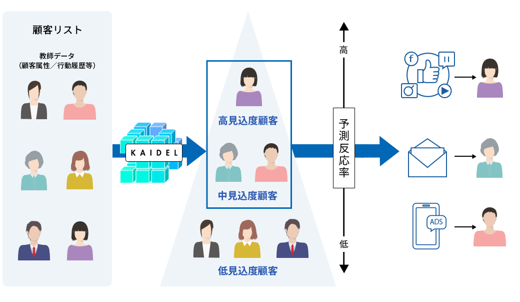 Aiスコアリングエンジン Kaidel Aiを活用して 高見込み客を発見 凸版印刷 Toppan Digital