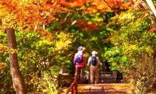 紅葉狩りレクレーション完全ガイド！高齢者向け室内・屋外アイデア