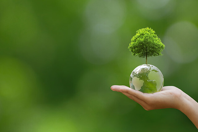 【2025年】SDGs×建築の関連補助金・助成金一覧｜サステナブル建築の必要性とおすすめ建材を解説