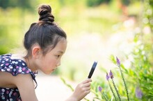 探求学習とは？その目的や具体的な授業方法、地域との連携方法など一挙解説！