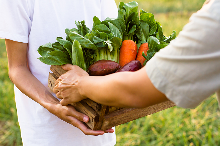 ジモノミッケ！® サービス概要＋事例紹介